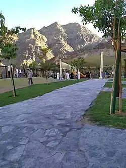 One of the Pathways