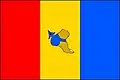 Flag of Patokryje
