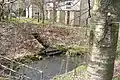 Confluence with River Beal