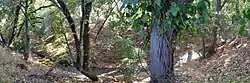 Below Fremont Avenue