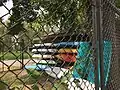 Pettibone Park kayak rentals
