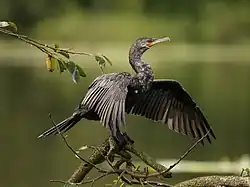 In Costa Rica