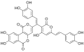Phellibaumin C