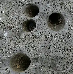 burrows, 2.5&nbsp;cm (1″) or less, in calcic rock, coast Boulogne - Calais (France)