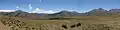 Paso Pichachén, Argentine side of the border.