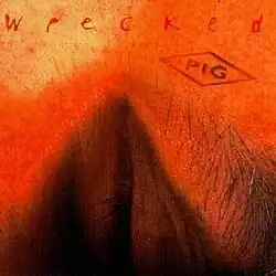 Cover art shows what appears to be a close-up of a vulva with the PIG logo tattooed above it.