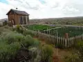 *Homestead garden
