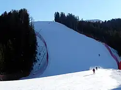 300x