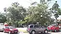 Plazuela Hidalgo from Calle Campana