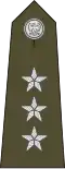Rotmistrz (Polish Land Forces)[15]
