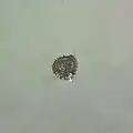Pollen grain of Gossypium herbaceum
