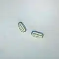 Pollen grains
