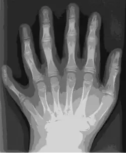 Traced with Potrace in Inkscape to an eight-color SVG image in 2012 (336&nbsp;KB)