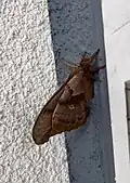 Sideview on a building