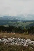 Top of Small Povlen