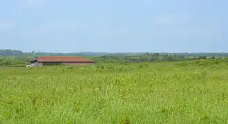 Prairie