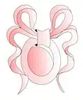 Drawing of Princess Beatrice's 2011 fascinator, by Philip Treacy