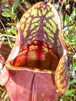 In Minnesota