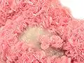 Quartz Rhodochrosite from Cavnic Mine