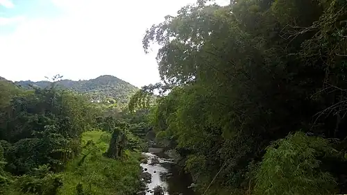 Arroyata River in Vega Redonda