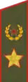 Shoulder strap of an Army General