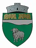 Coat of arms of Ciuchici