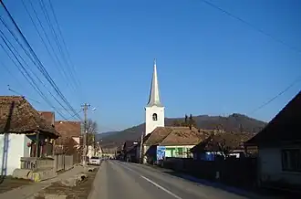 View of Viforoasa