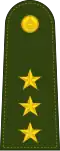Captain