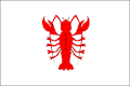 Flag of Rakovník