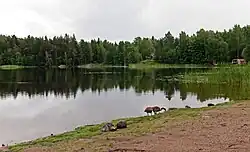 View of lake
