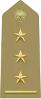 Primo capitano[3] (Italian Army)