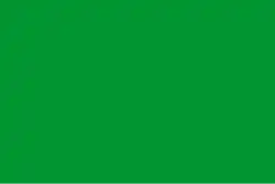 Green flags were sometimes used by Shi'ites.