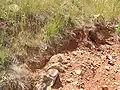 Recently exposed soil. Red Hill gained the name from the colour of its soil.