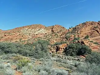 A photo of Cottonwood Canyon