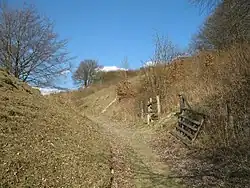 Dunstable Downs