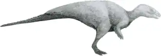 Rhabdodon priscus