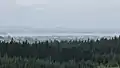 View of the Riverhead Forest looking south towards Auckland