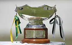 Tournament logo