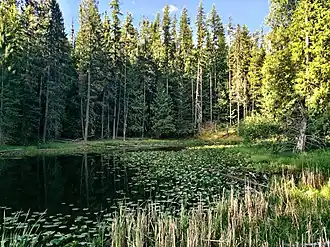 Landscape