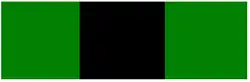 SANDF era type 2 Infantry Beret bar