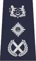 Singapore Police Force