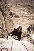 The great dihedral around pitch 8