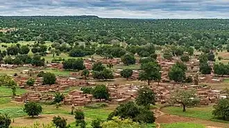 picture of Sabou