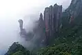 Snake rock