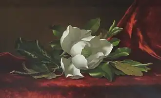 The Magnolia Blossom, 1888, Timken Museum of Art