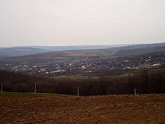 Cuizâuca