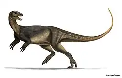 Saturnalia tupiniquim