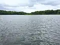 Looking towards the island on Saunders Lake