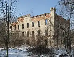 Ruins of castle in the village