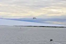 The ice cap covering Schmidt Island